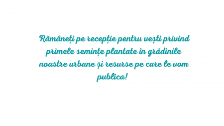 Imagine Implică-te site var 2