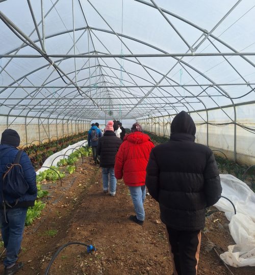 WhatsApp Image 2026-02-04 at 15.37.59