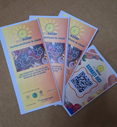 WhatsApp Image 2026-02-04 at 15.38.22 (2)