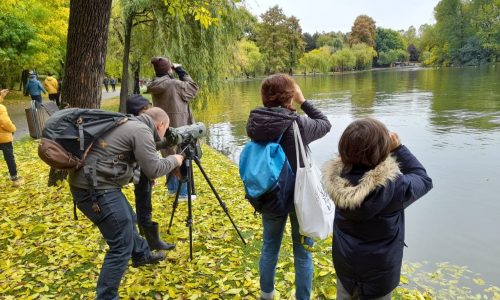 photo_2021-10-19_09-56-44